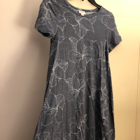 LuLaRoe Carly dress. Only worn once! - Picture 1 of 3